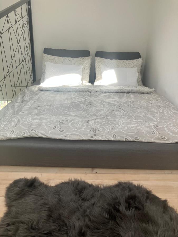 Angelit Studio Apartman 佐洛卡罗斯 外观 照片
